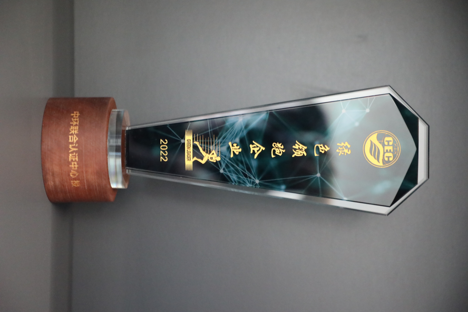 美巢深耕家裝環保輔料賽道，榮獲“綠色領跑企業”稱號