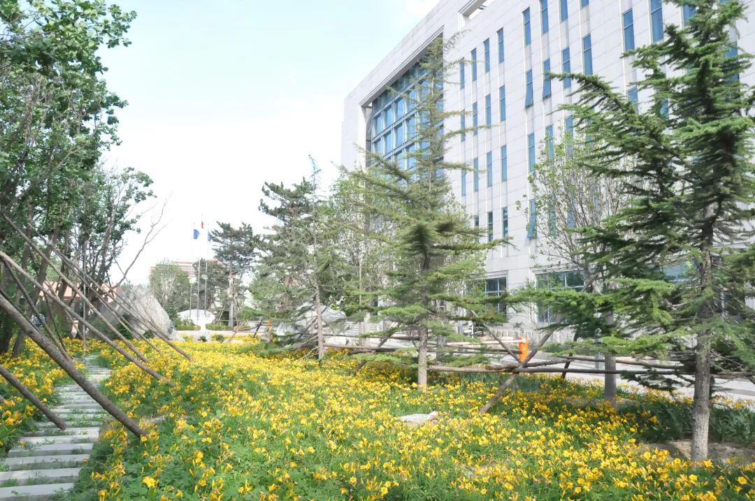 踐行可持續發展理念,美巢全鏈路打造環保健康人居環境